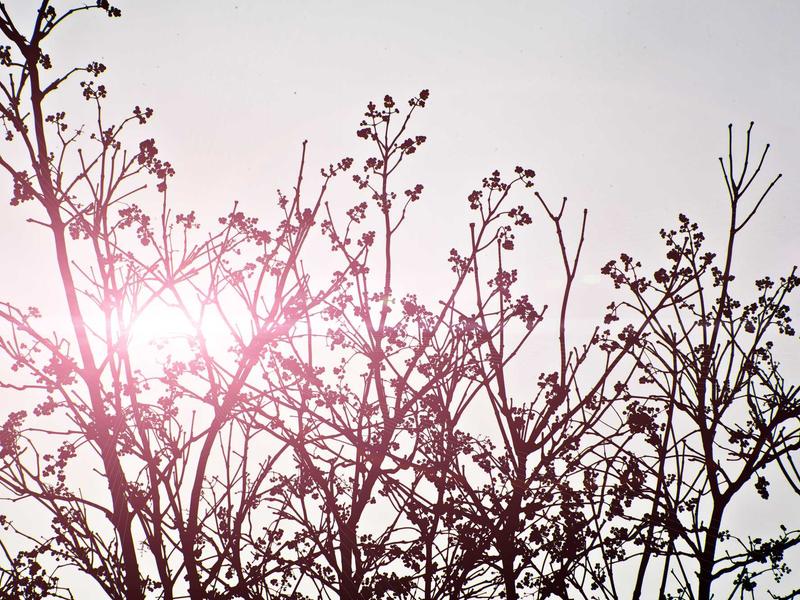 samurai sudoku screenshot 6